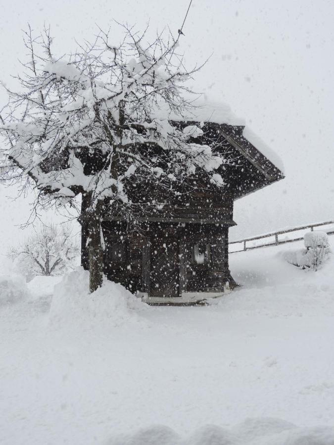 فيلا Nagerhof Gnesau المظهر الخارجي الصورة